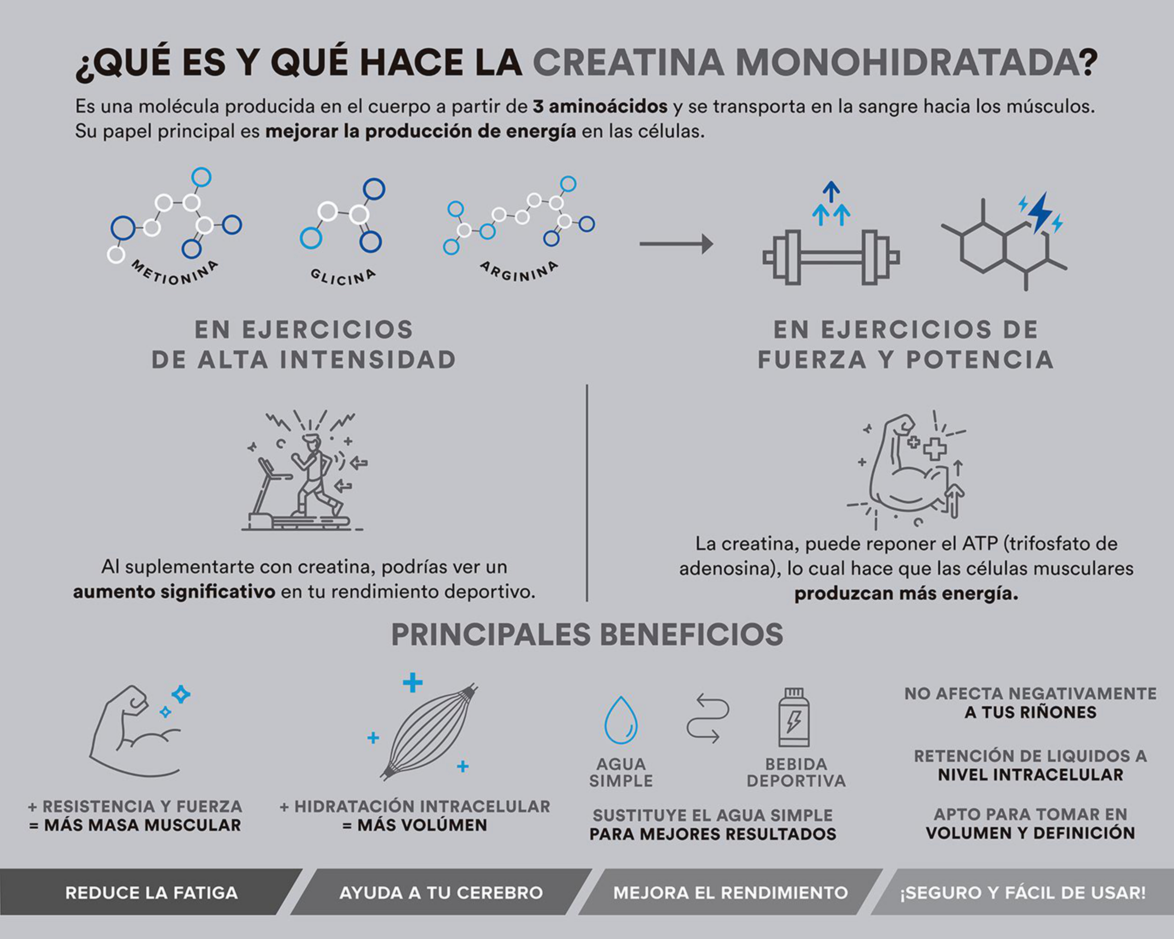 Foto 5 | Creatina Monohidratada Birdman de Alta Pureza 450 g