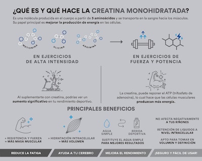 Foto 5 | Creatina Monohidratada Birdman de Alta Pureza 450 g