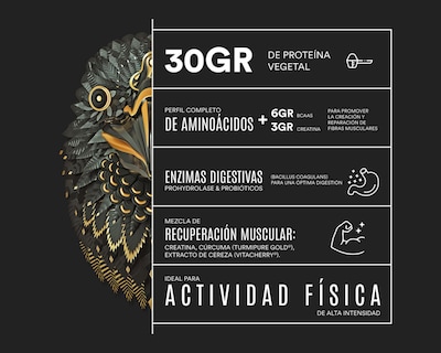 Foto 3 | Proteína Vegetal Birdman Falcon Sabor Chocolate 722 g