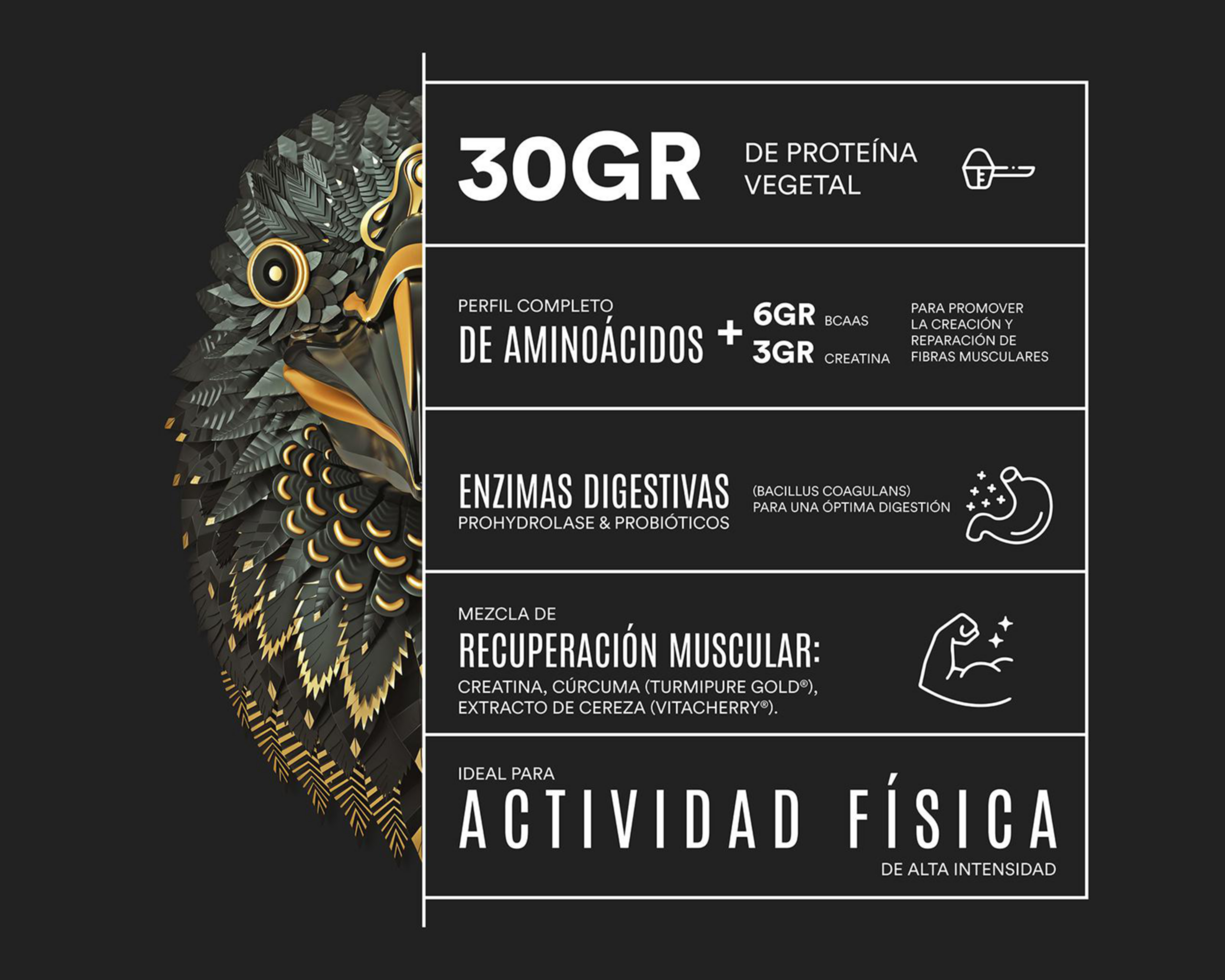 Foto 4 pulgar | Proteína Vegetal Birdman Falcon Performance Sabor Vainilla 1.14 kg