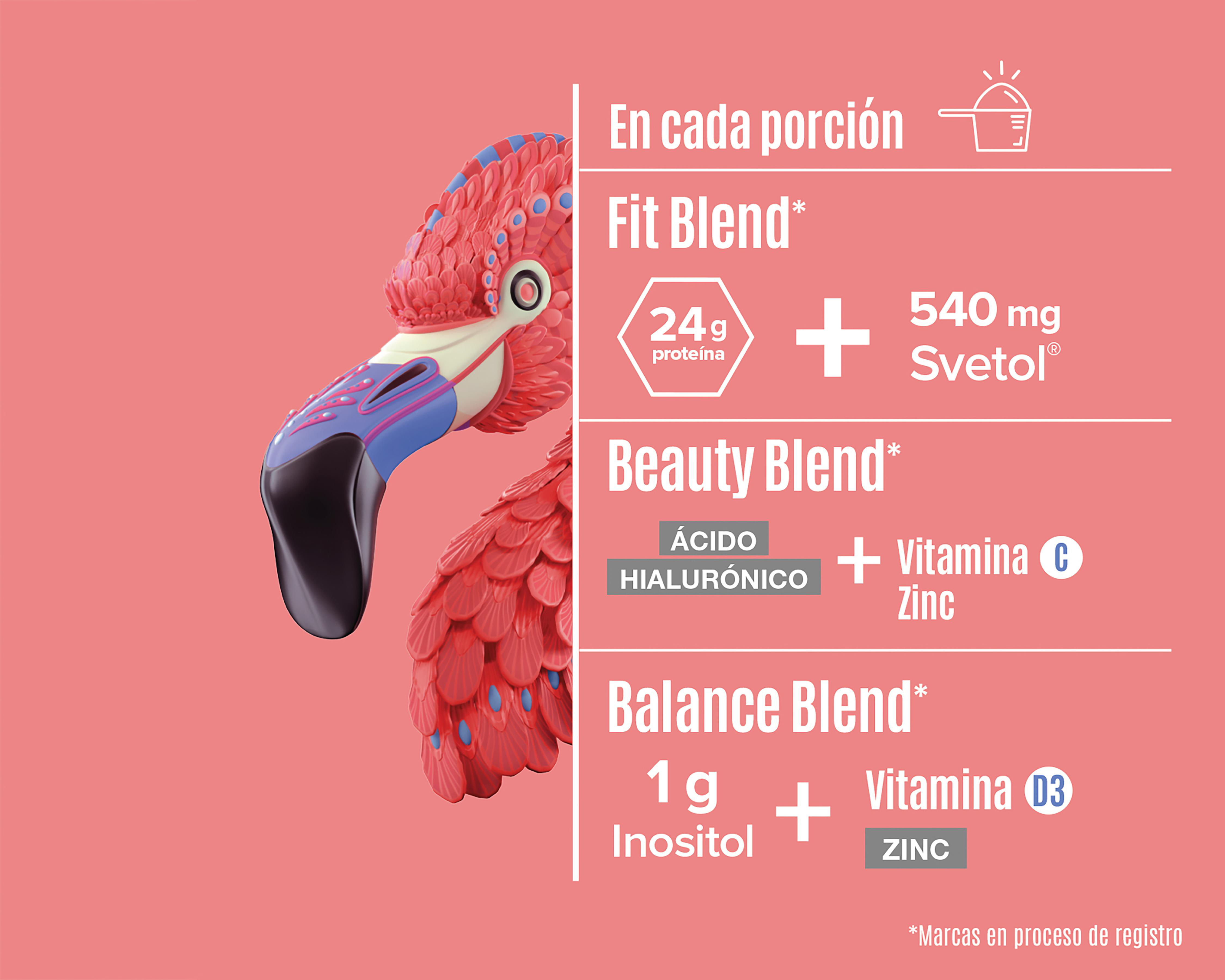Foto 5 pulgar | Proteína Vegetal Birdman Fitmingo Sabor Blueberry 510 g