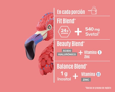 Foto 4 | Proteína Vegetal Birdman Fitmingo Sabor Blueberry 510 g