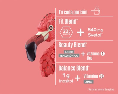 Foto 4 | Proteína Vegetal Birdman Fitmingo Sabor Moka 510 g