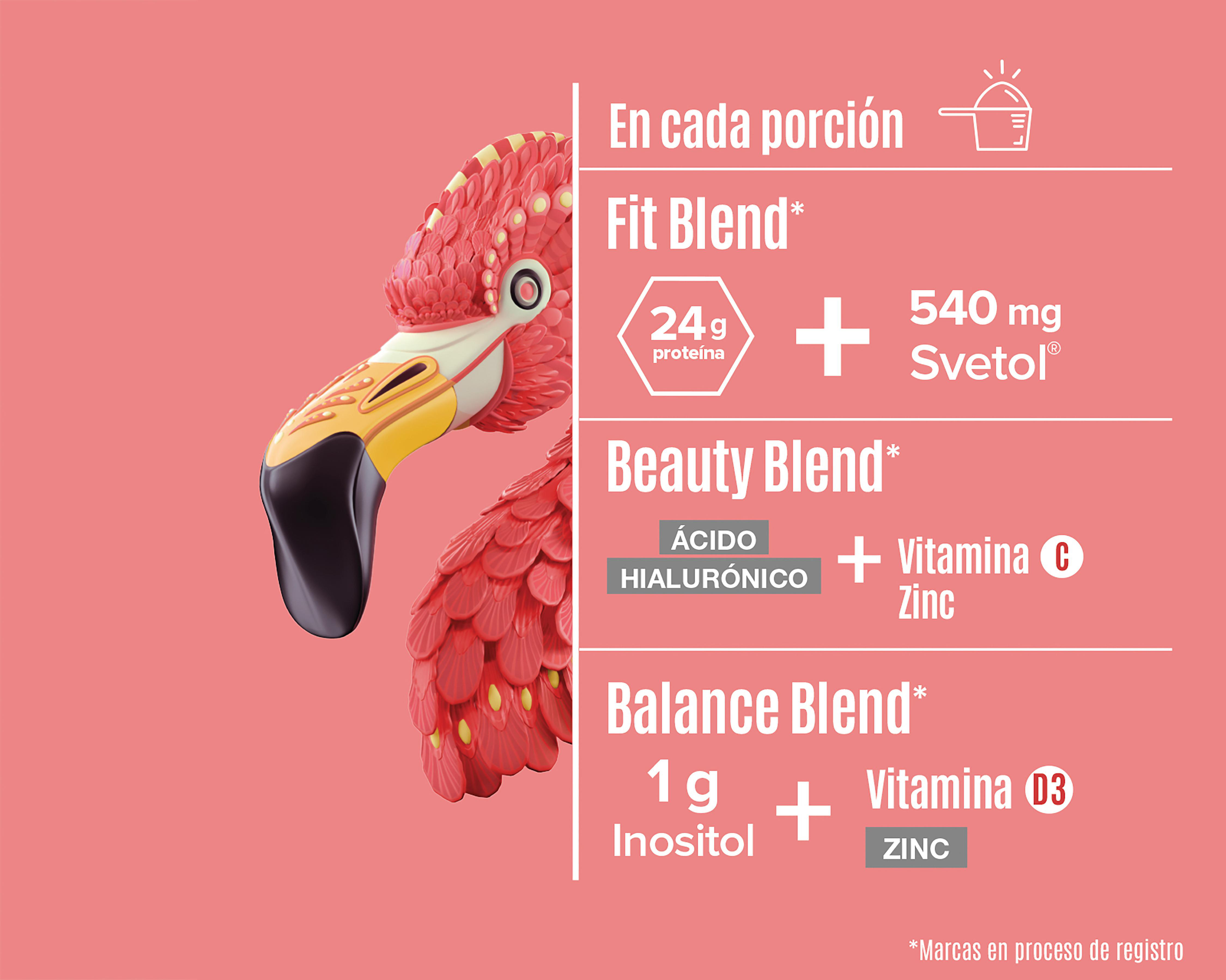 Foto 5 pulgar | Proteína Vegetal Birdman Fitmingo Sabor Vainilla 510 g