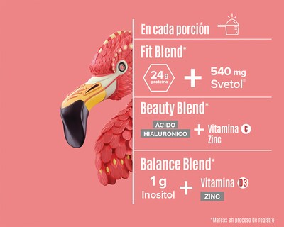Foto 4 | Proteína Vegetal Birdman Fitmingo Sabor Vainilla 510 g