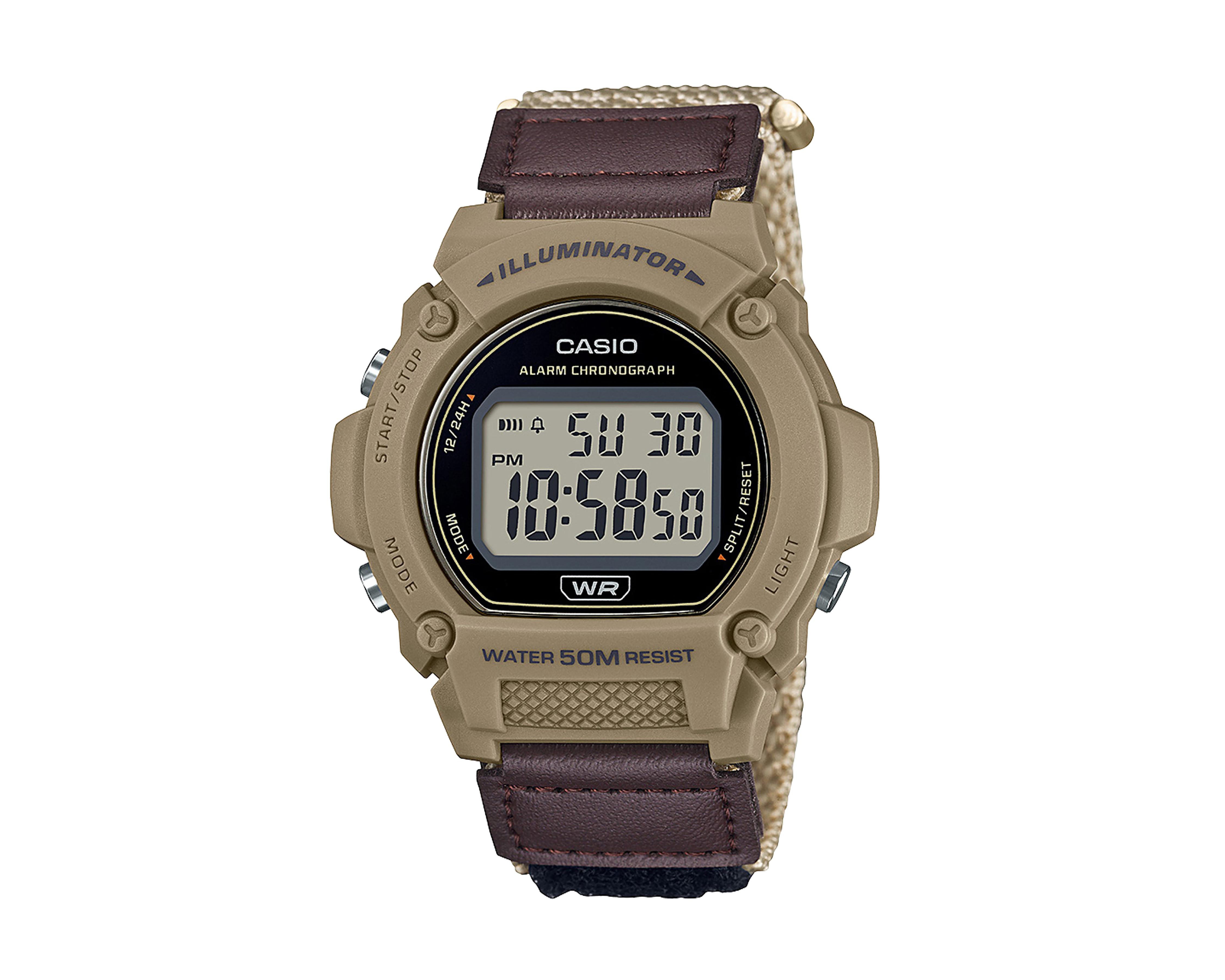 Reloj Casio MW-240B-3BVCF Café-Dorado