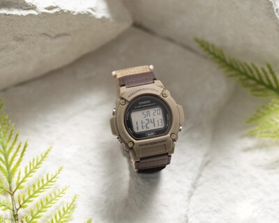 Foto 4 | Reloj para Hombre Casio MW-240B-3BVCF Café-Dorado