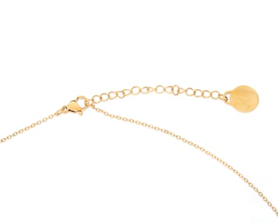 Foto 4 | Collar de Acero Inoxidable Jennifer Lopez