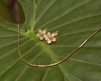 Foto 6 | Aretes de Chapa de Oro 18k Plafer