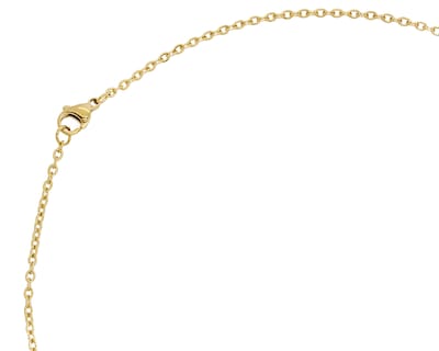 Foto 4 | Collar Chapa de Oro 18k NK