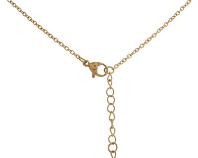 Foto 4 | Collar de Acero Inoxidable Thinner