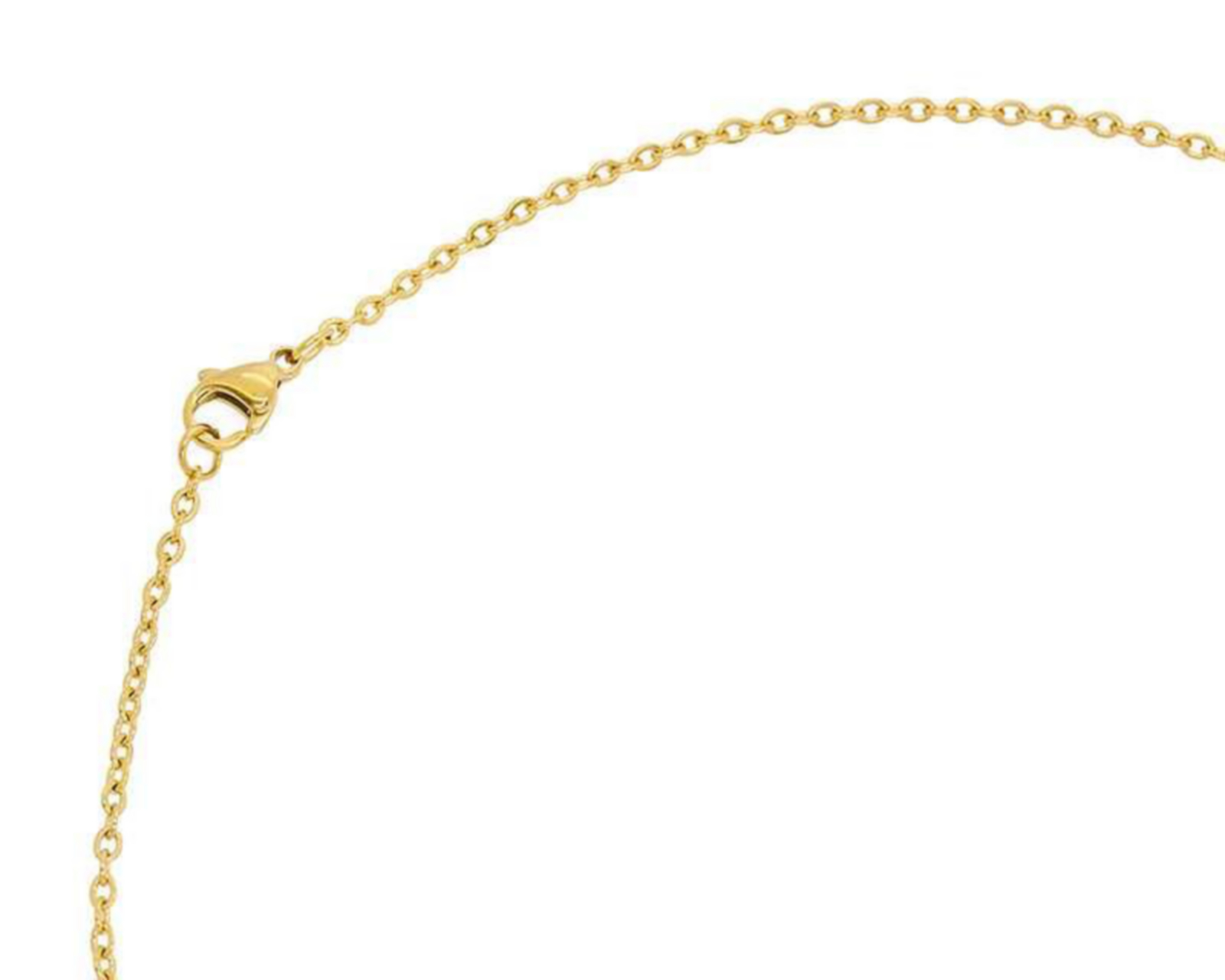 Foto 3 | Collar de Acero Inoxidable Thinner