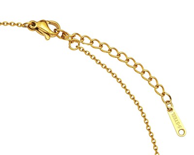 Foto 3 | Gargantilla Acero Inoxidable Thinner