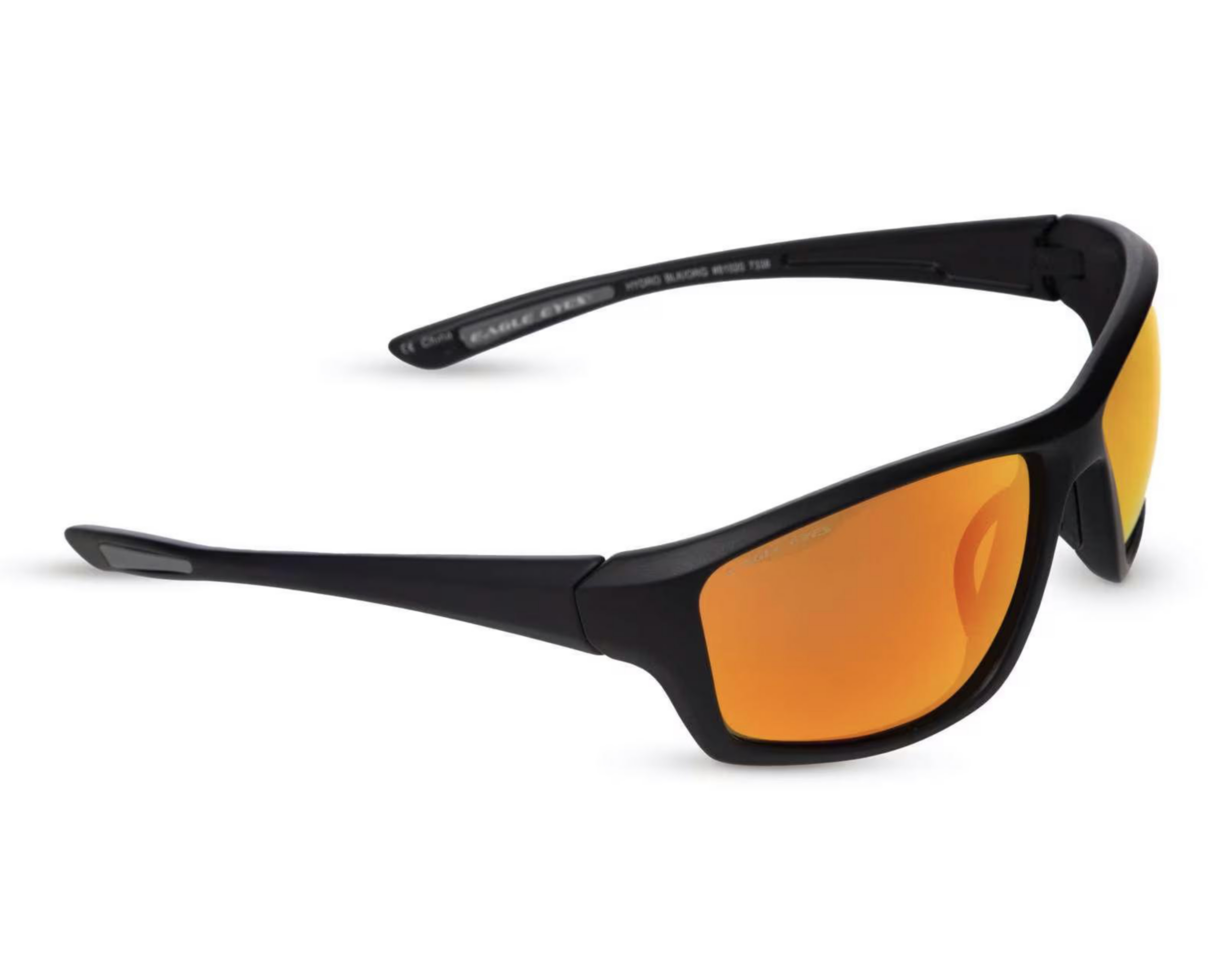 Lentes de Sol Eagle Eyes Wayfarer Hydro Negro