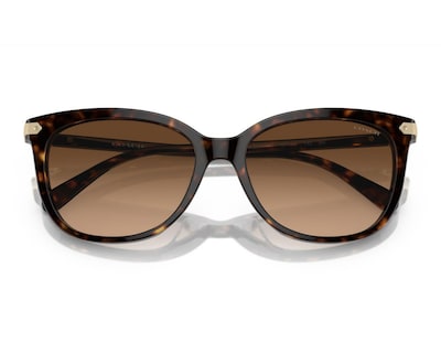Foto 5 | Lentes de Sol para Mujer Coach Dark Tortoise Wayfarer Café
