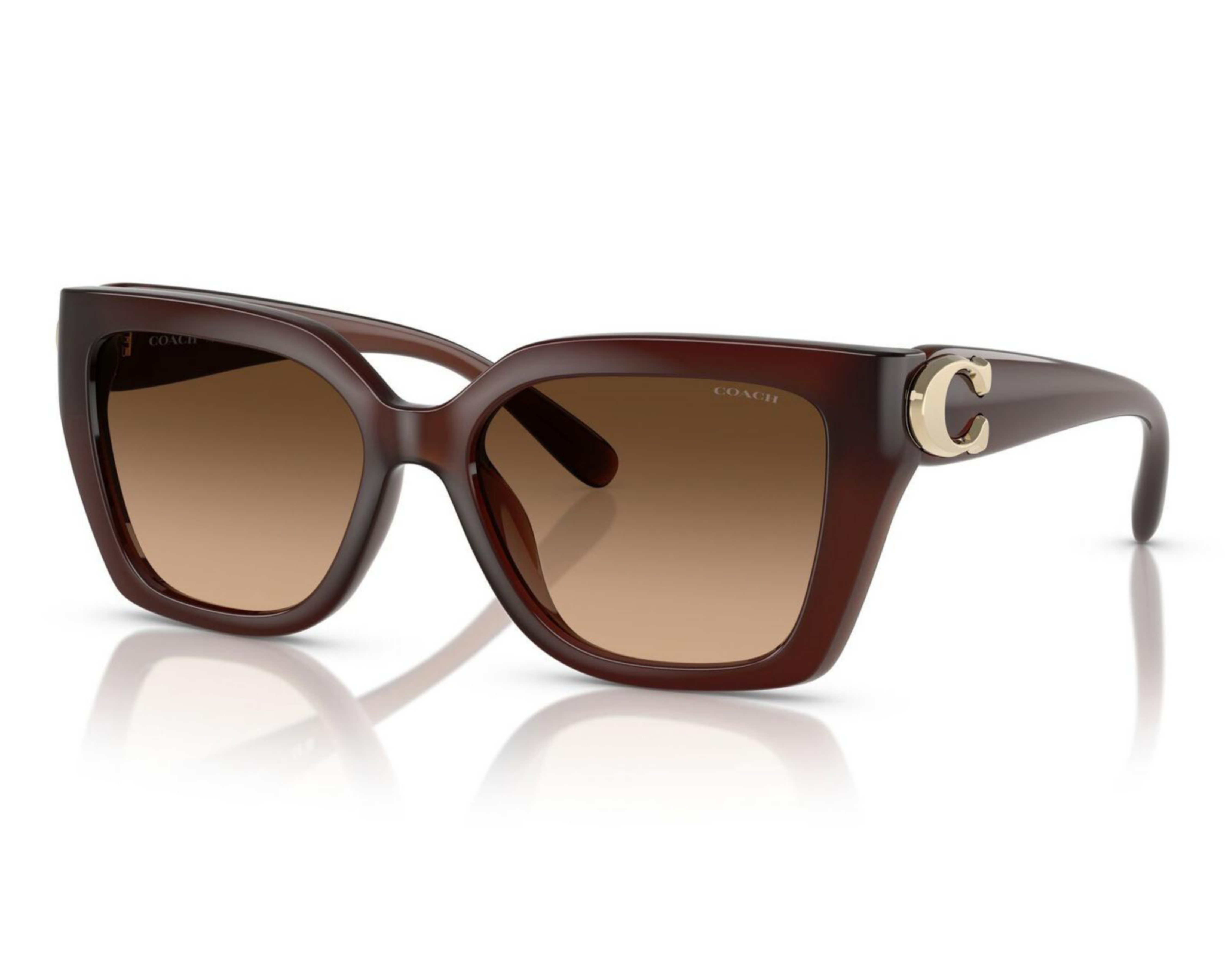 Lentes de Sol para Mujer Coach Wayfarer Café