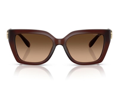 Foto 2 | Lentes de Sol para Mujer Coach Wayfarer Café