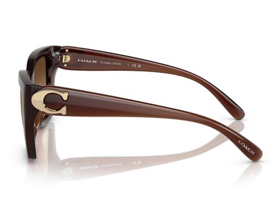 Foto 4 | Lentes de Sol para Mujer Coach Wayfarer Café