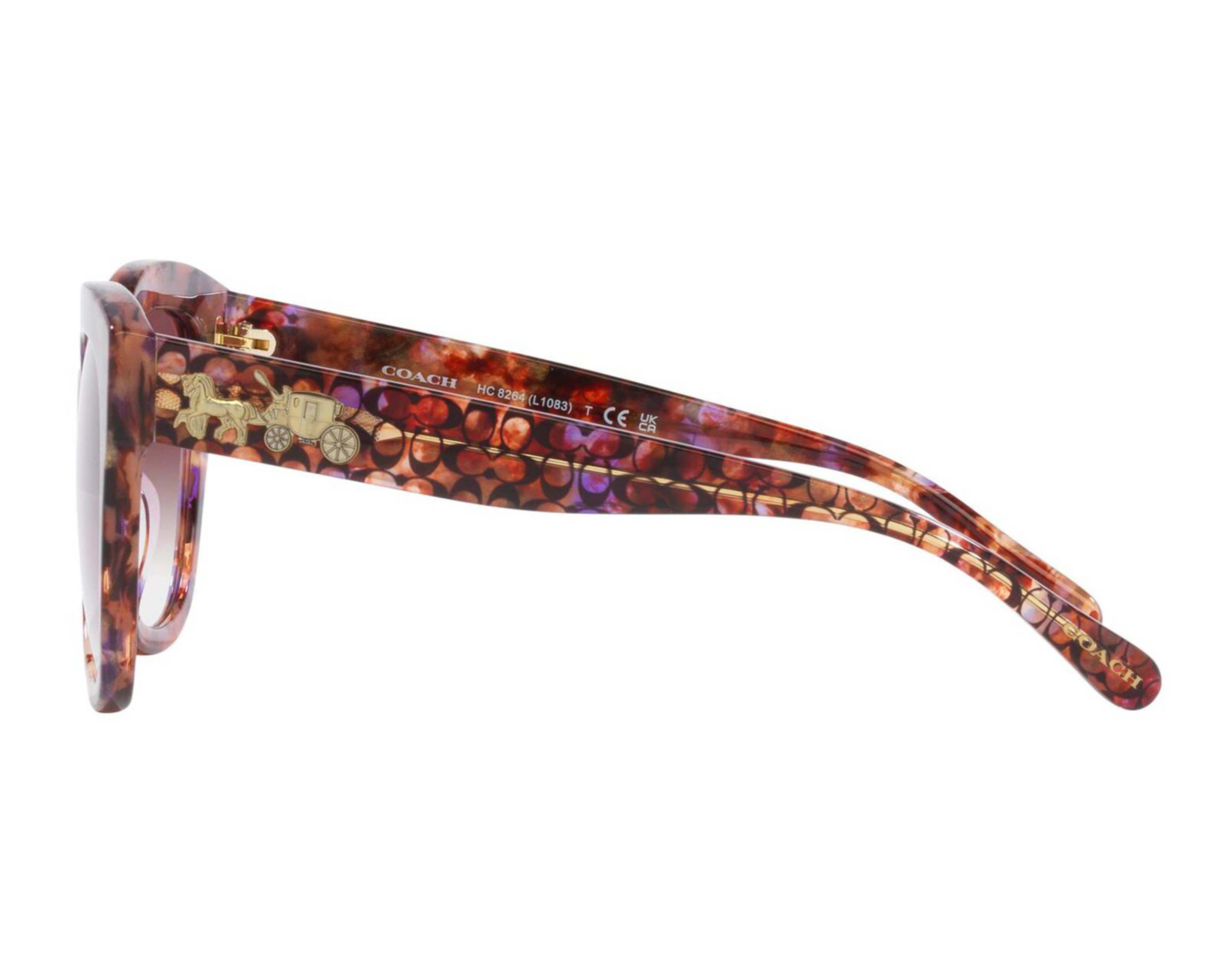 Foto 5 pulgar | Lentes de Sol para Mujer Coach Redondos Café