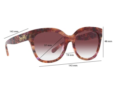 Foto 6 | Lentes de Sol para Mujer Coach Redondos Café