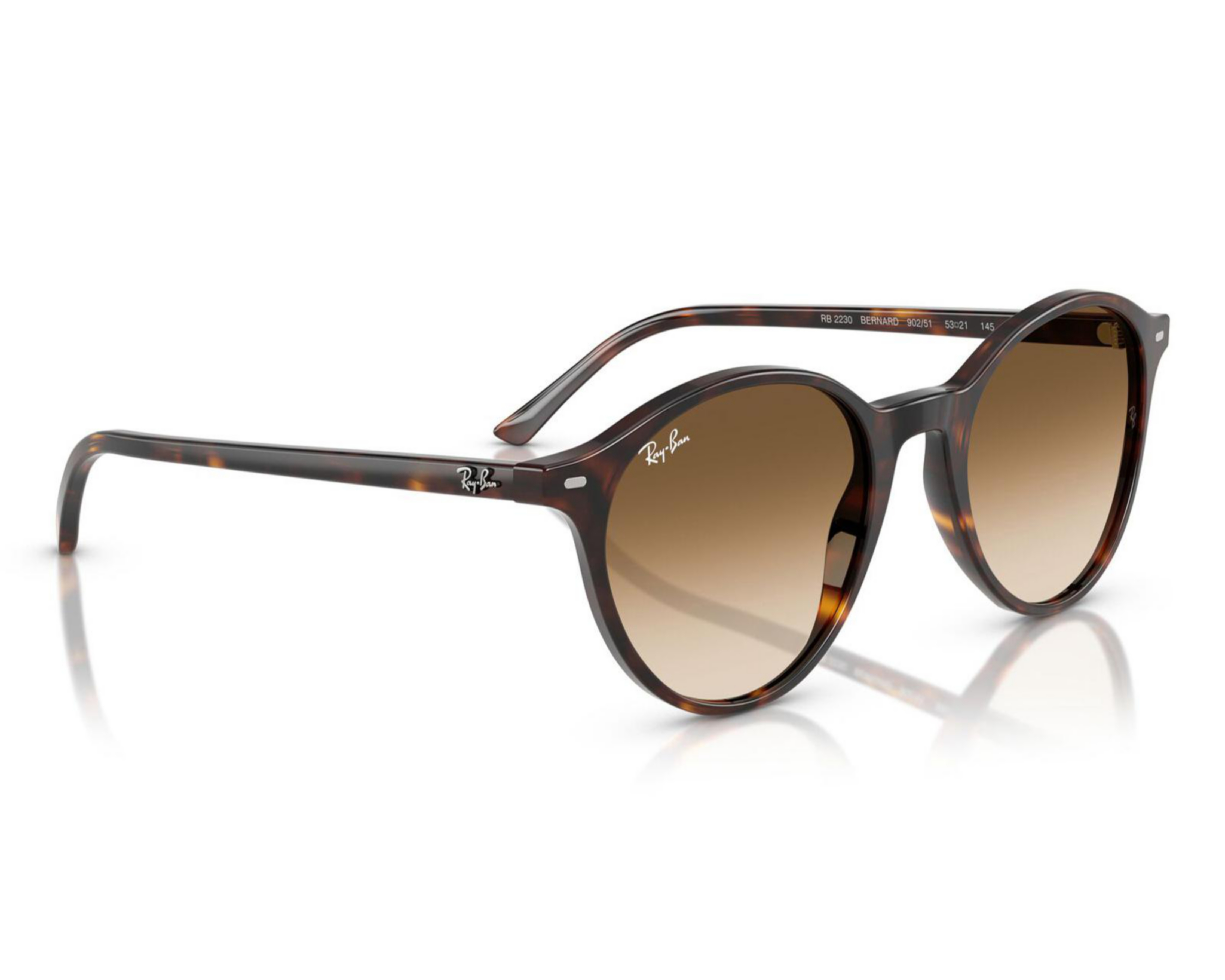 Lentes de Sol Unisex Ray Ban Redondos Carey