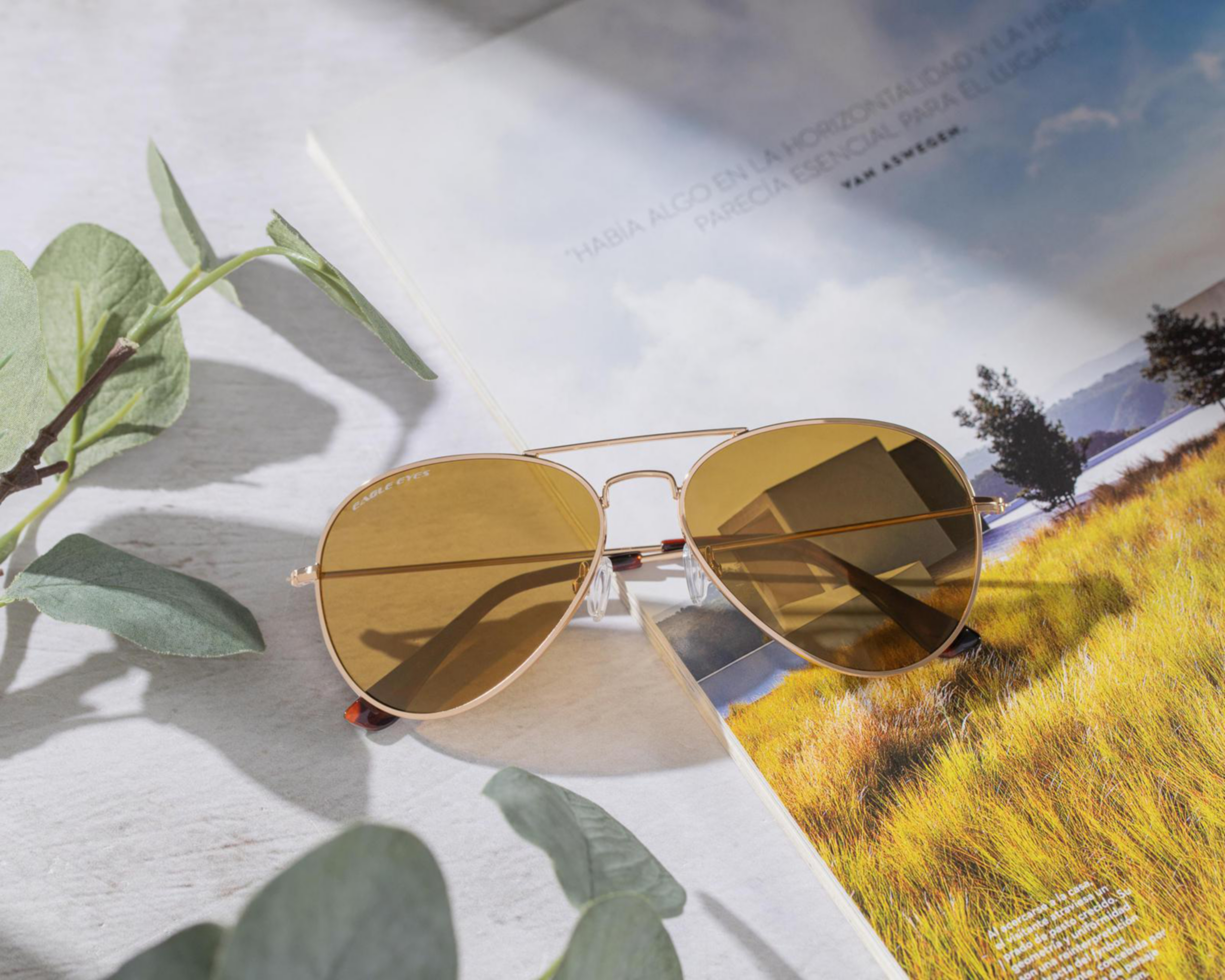 Foto 7 | Lentes de Sol Eagle Eyes Aviador Classi Gold Dorado