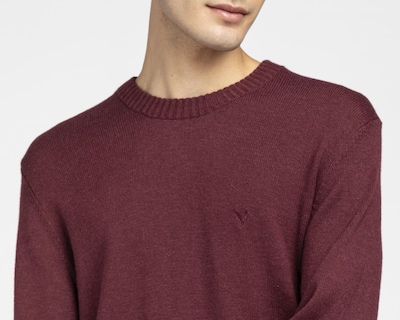 Foto 3 | Suéter American Eagle Cuello Redondo