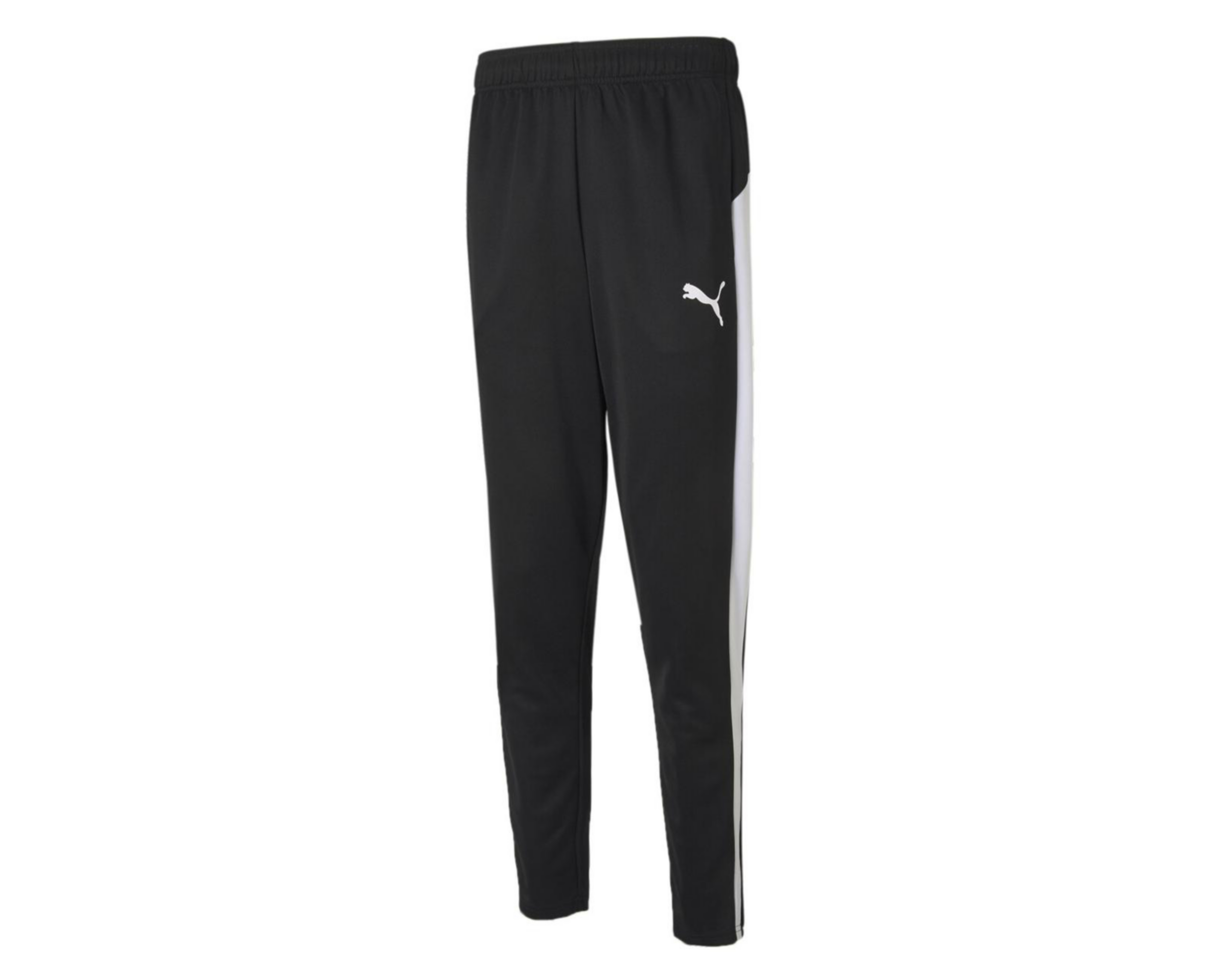 Pants Puma DryCELL de Entrenamiento