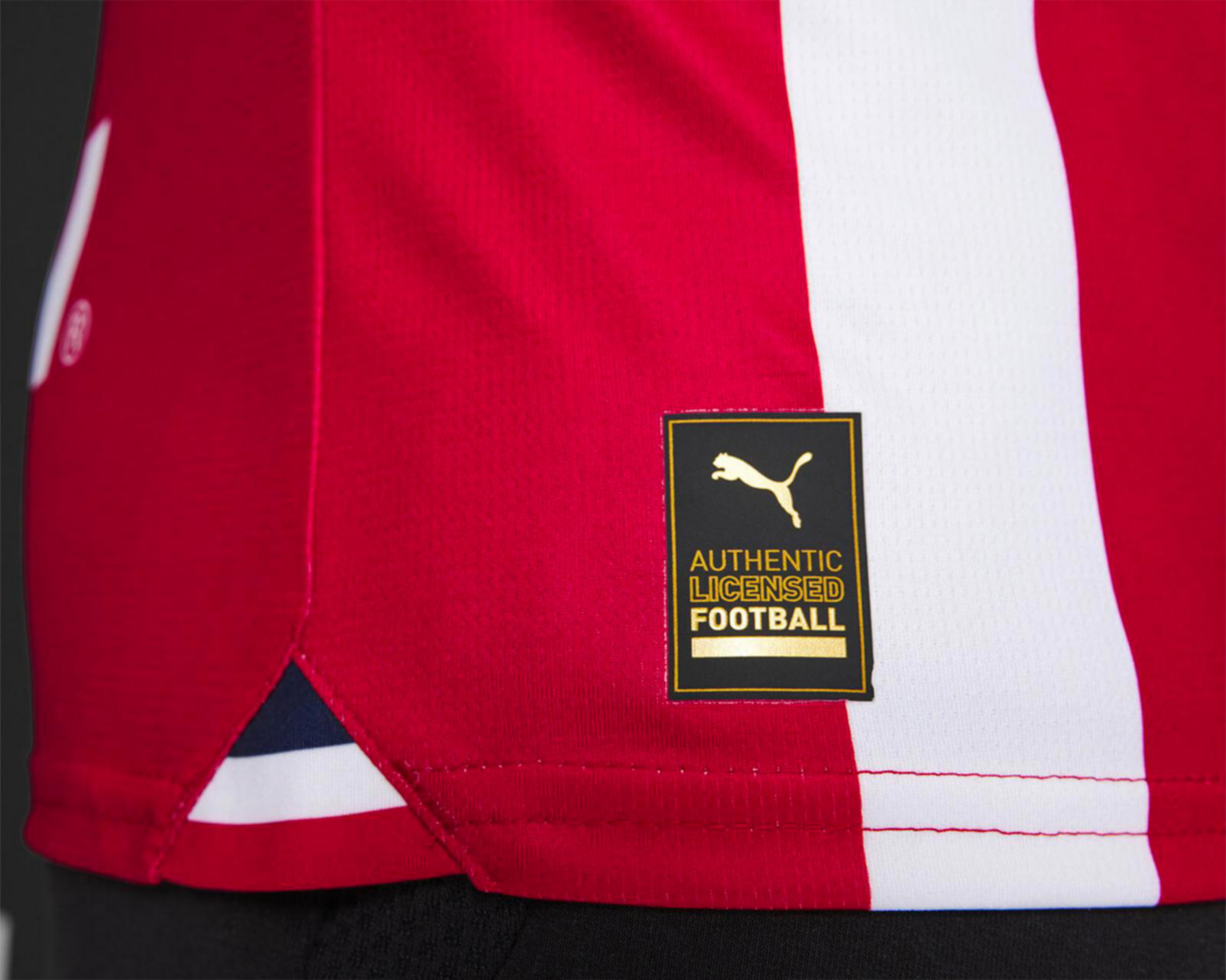 Foto 7 pulgar | Jersey Puma Chivas Local 2023-2024 Réplica