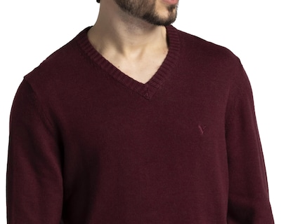 Foto 3 | Sudadera American Eagle Outfitters