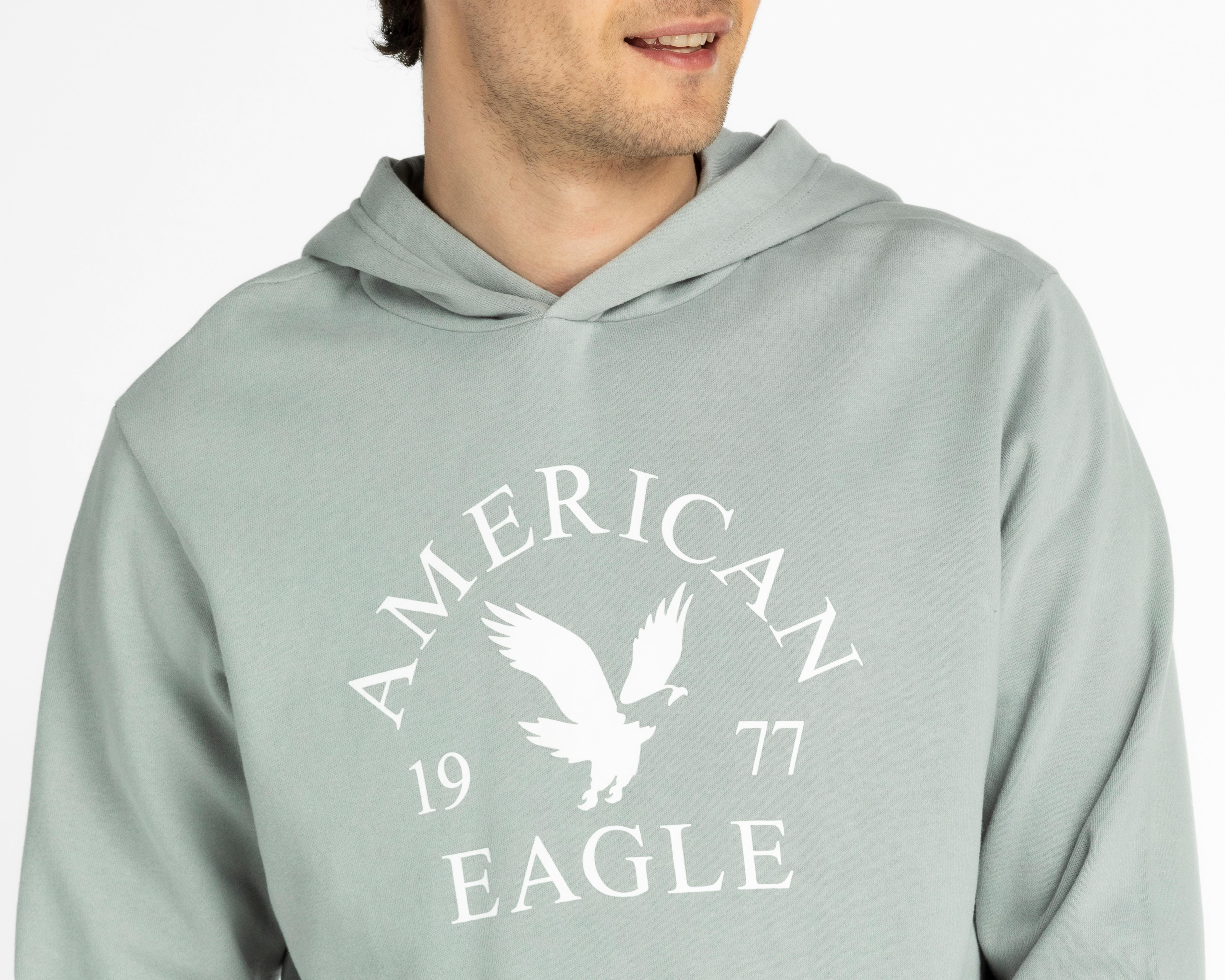 Foto 4 pulgar | Sudadera American Eagle Outfitters con Capucha Color Gris