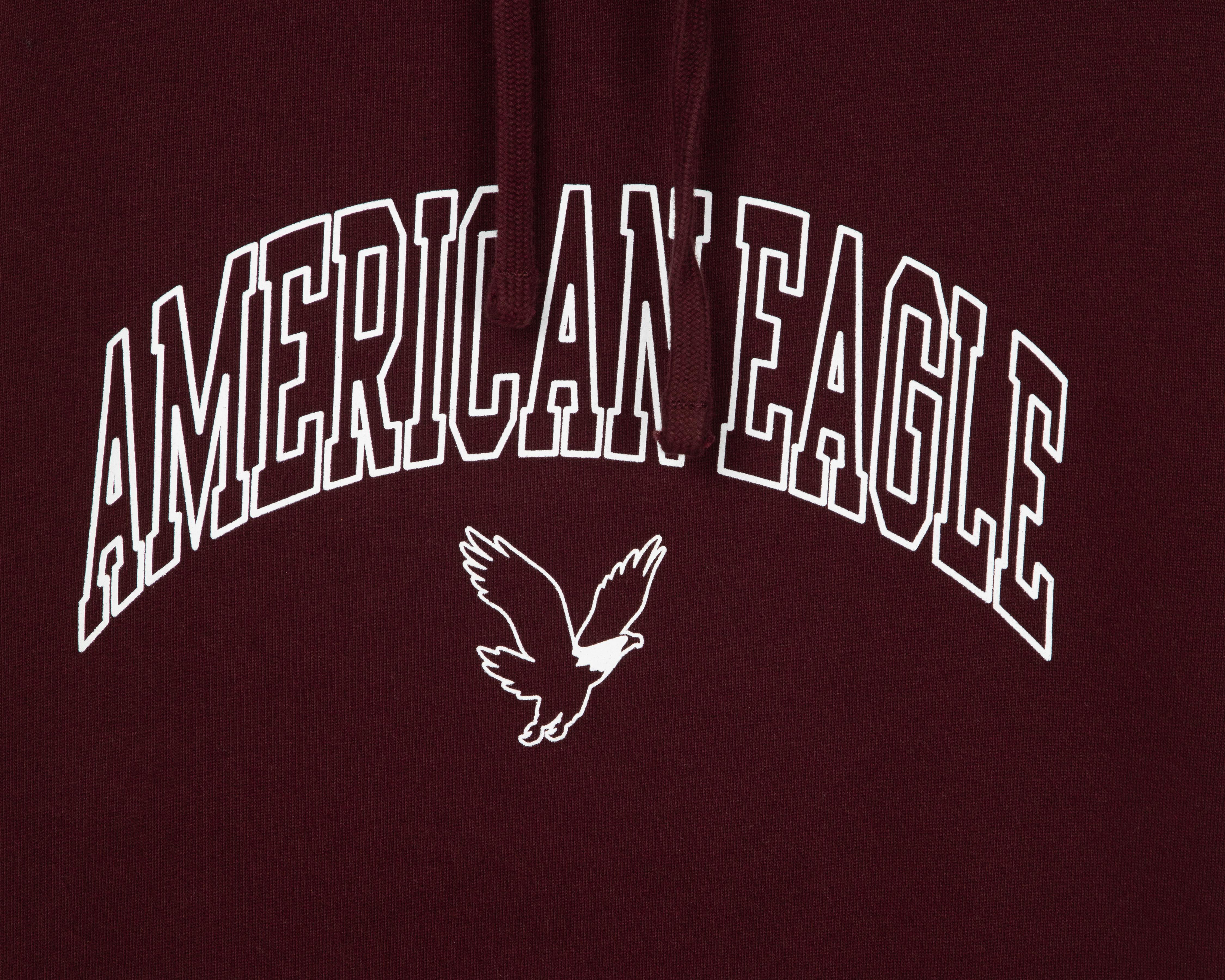 Foto 5 pulgar | Sudadera American Eagle con Capucha