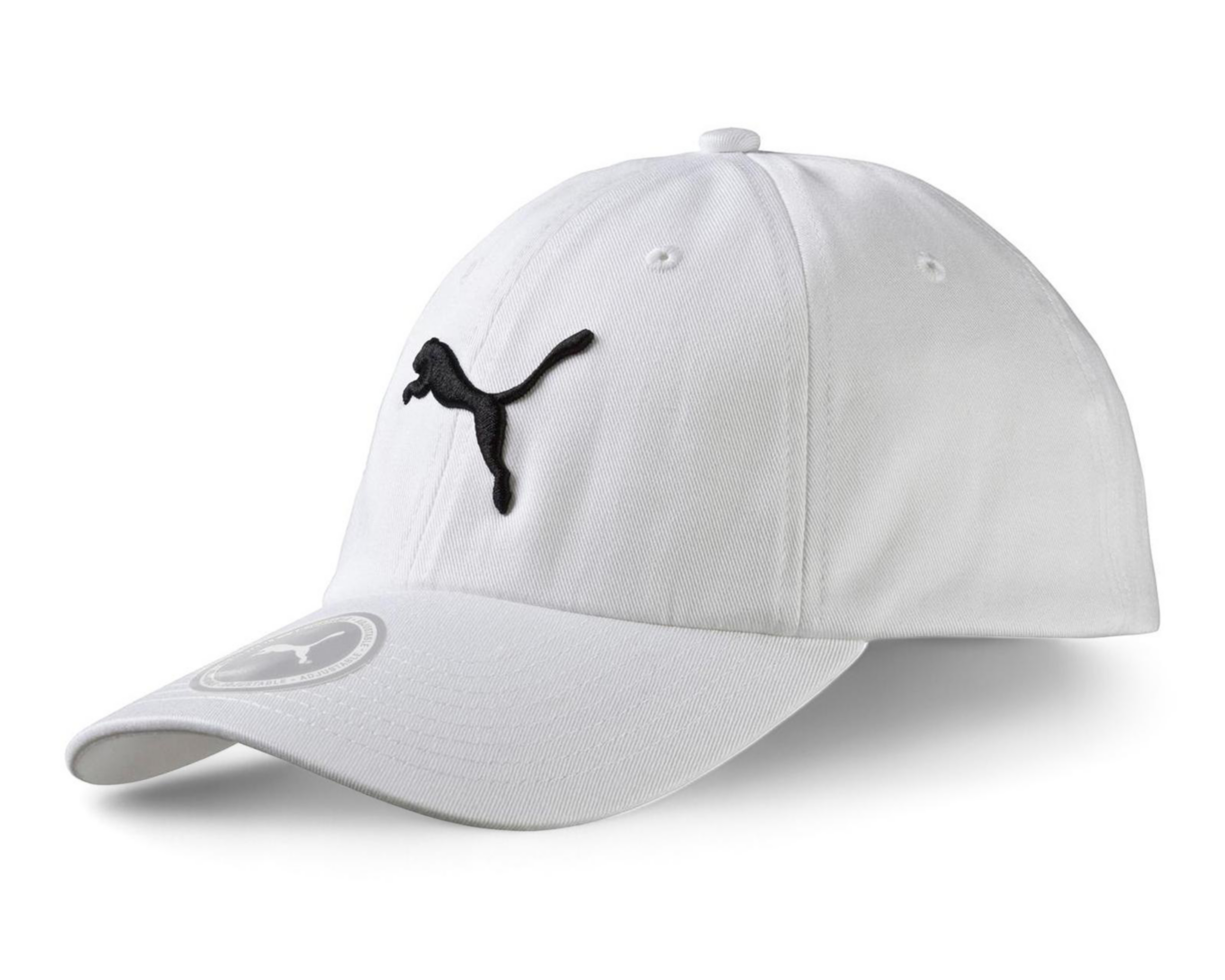 Gorra Curva Puma Essentials