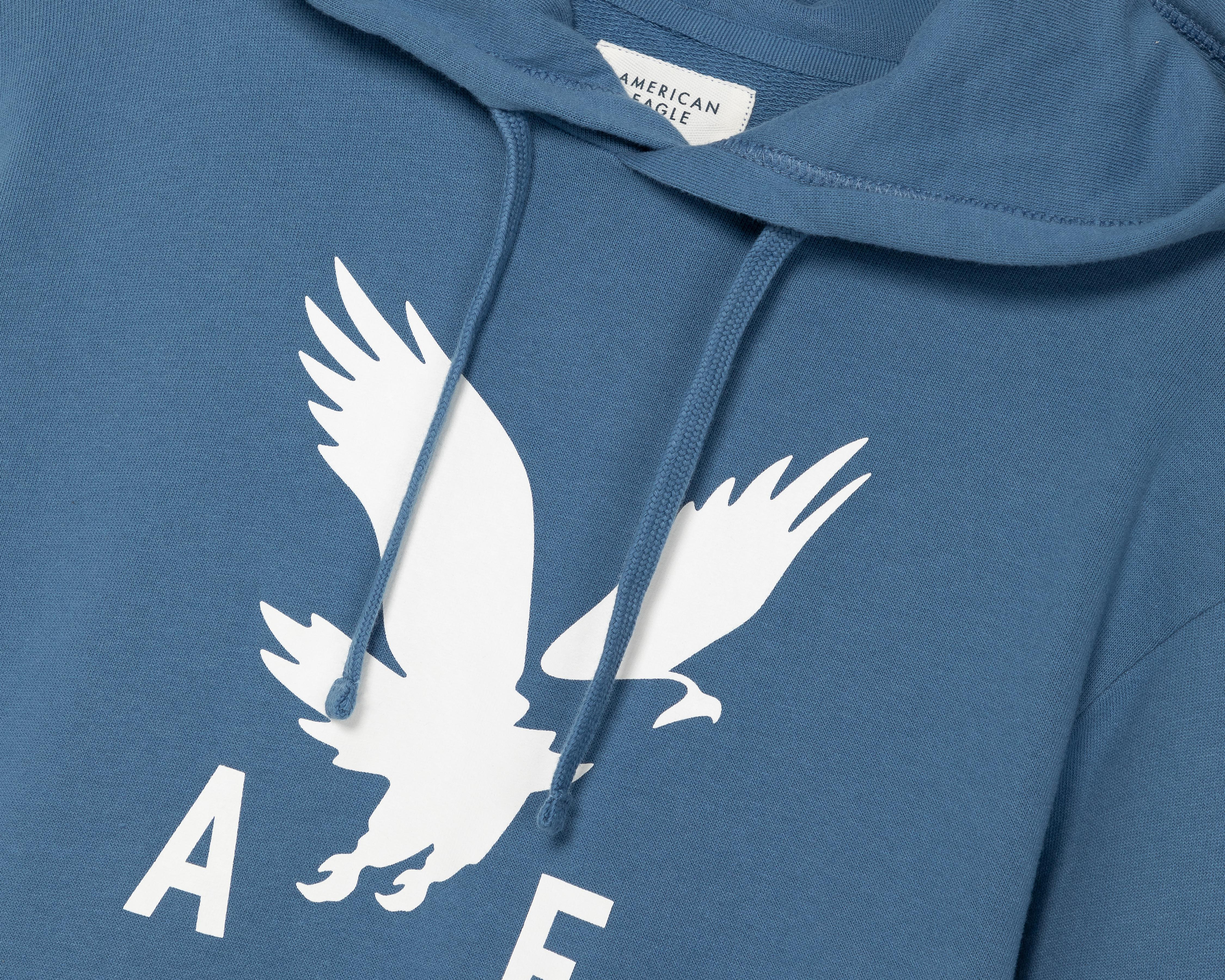 Foto 4 pulgar | Sudadera American Eagle con Capucha