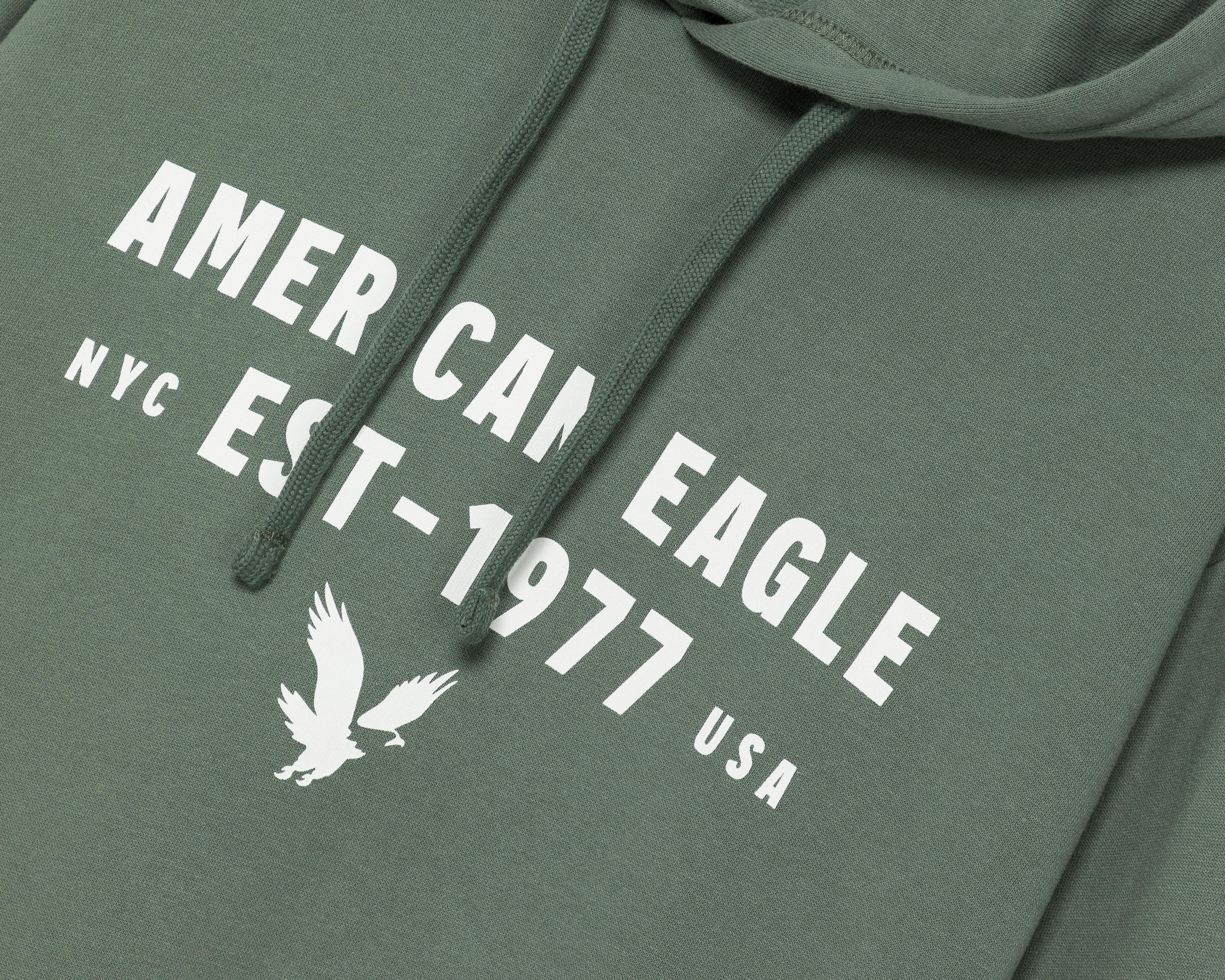 Foto 4 pulgar | Sudadera American Eagle con Capucha