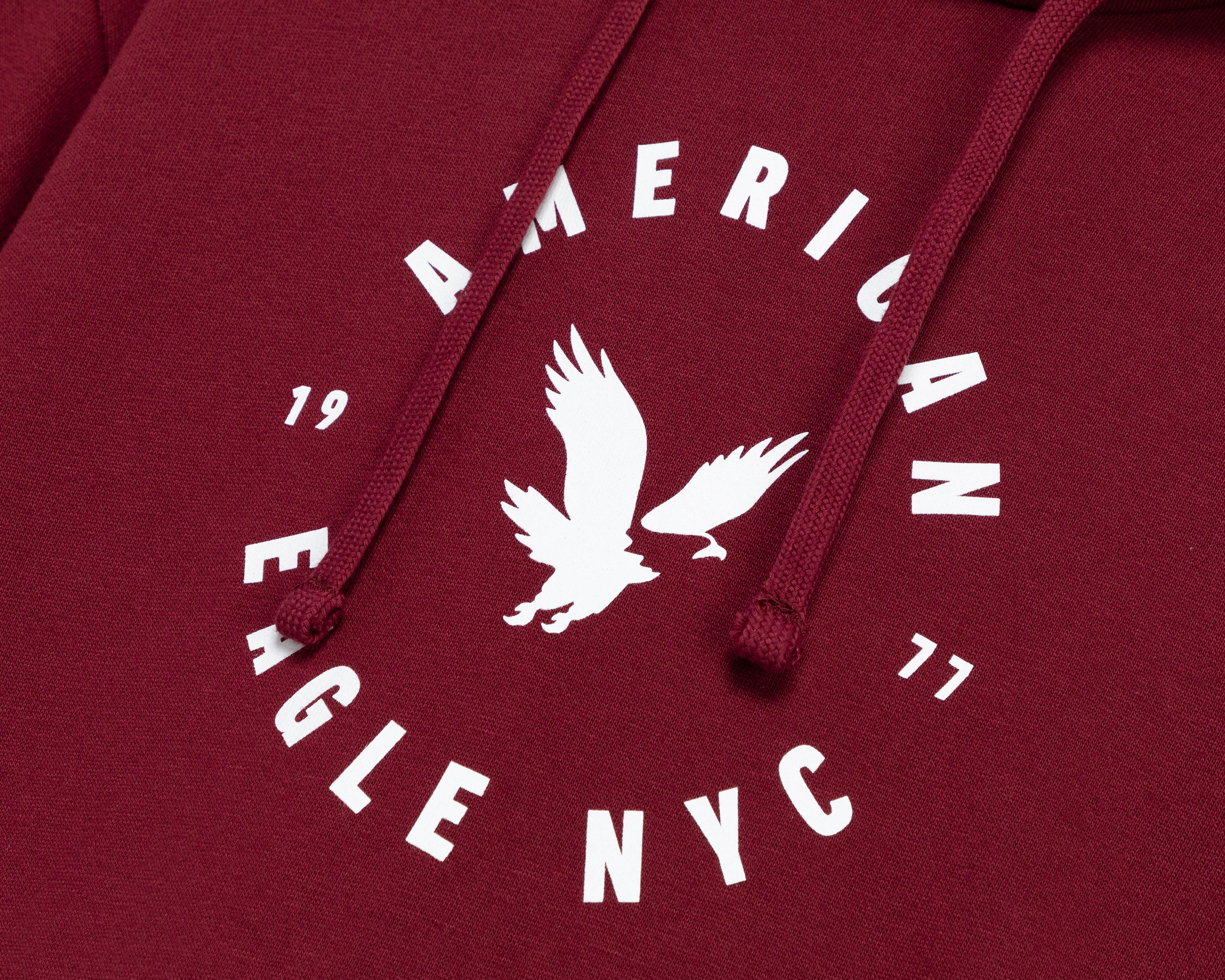 Foto 4 pulgar | Sudadera American Eagle con Capucha