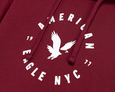 Foto 3 | Sudadera American Eagle con Capucha
