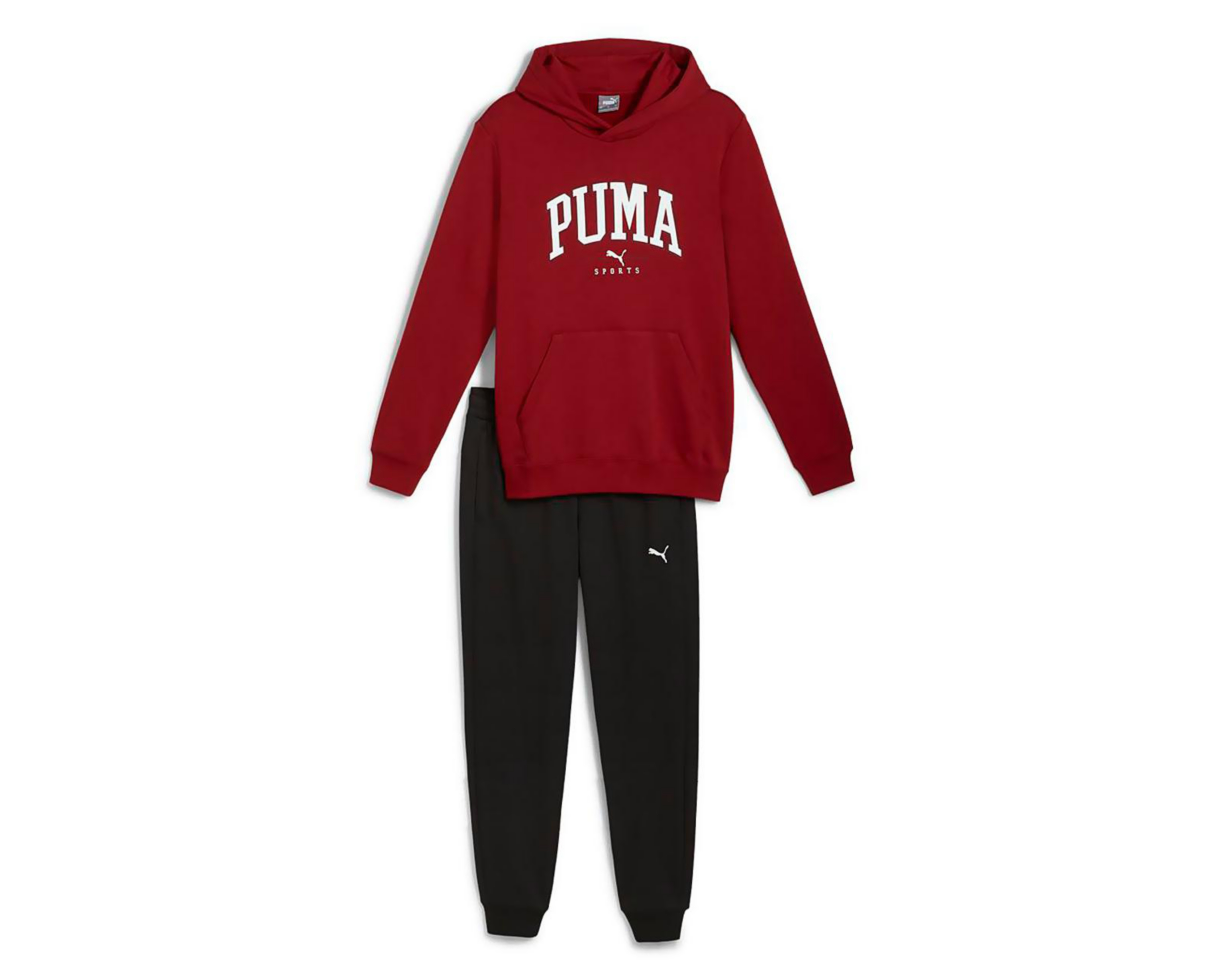 Foto 2 pulgar | Pants y Sudadera Puma para Hombre