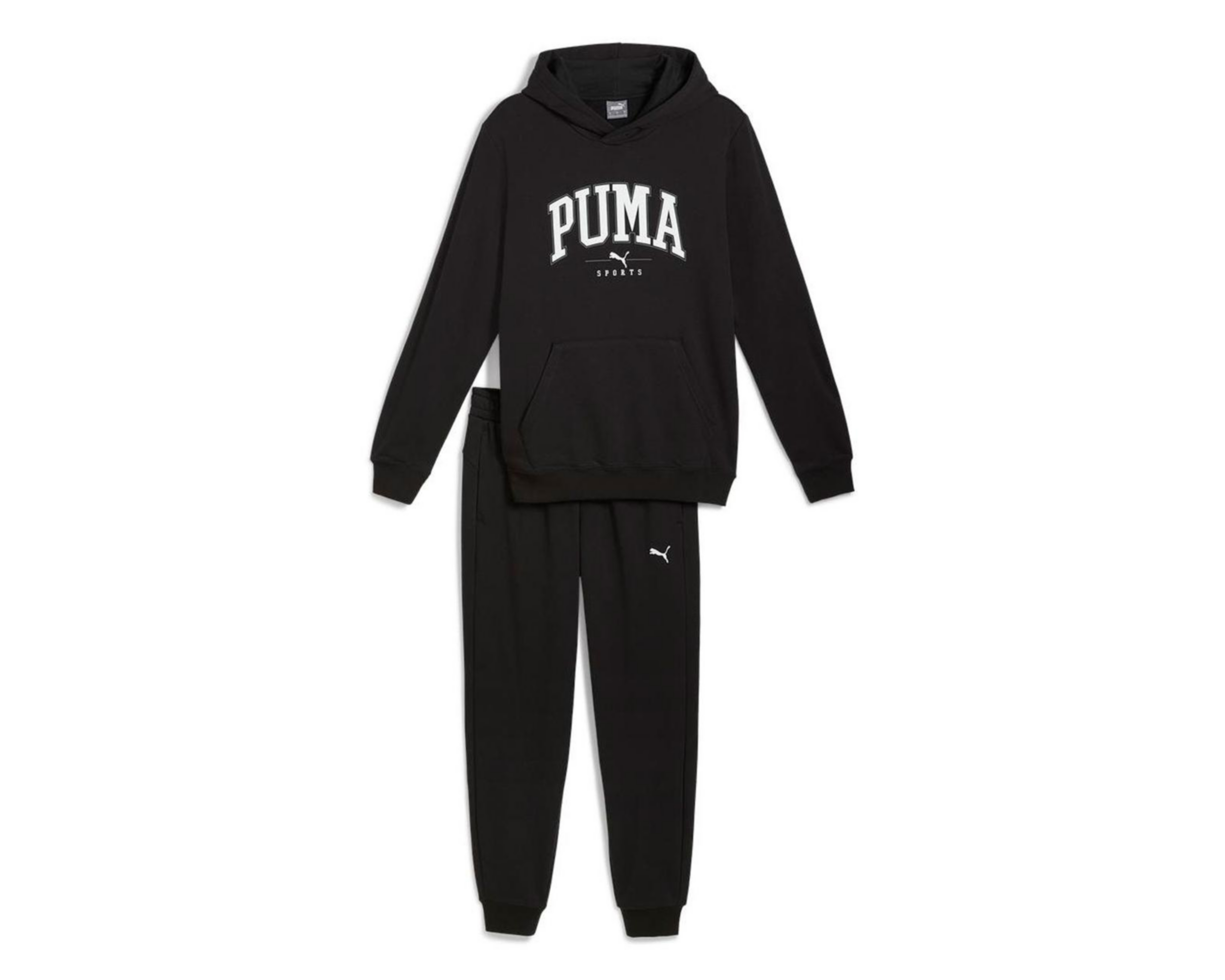 Pants y Sudadera Puma para Hombre