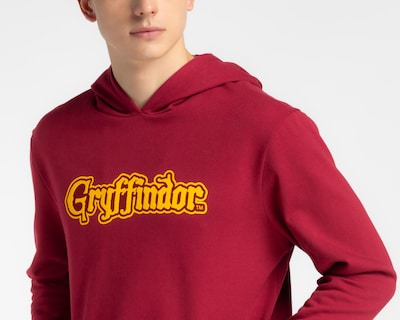 Foto 3 | Sudadera Harry Potter con Capucha