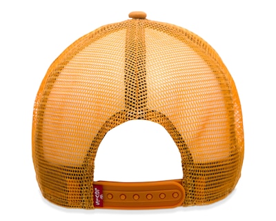 Foto 3 | Gorra Curva Levi's