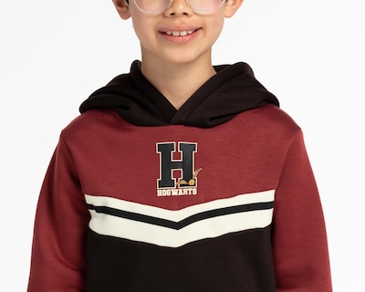 Foto 4 | Sudadera Harry Potter con Gorro para Niño