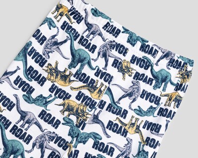 Foto 4 | Pijama para Niño de Dinosaurios Refill