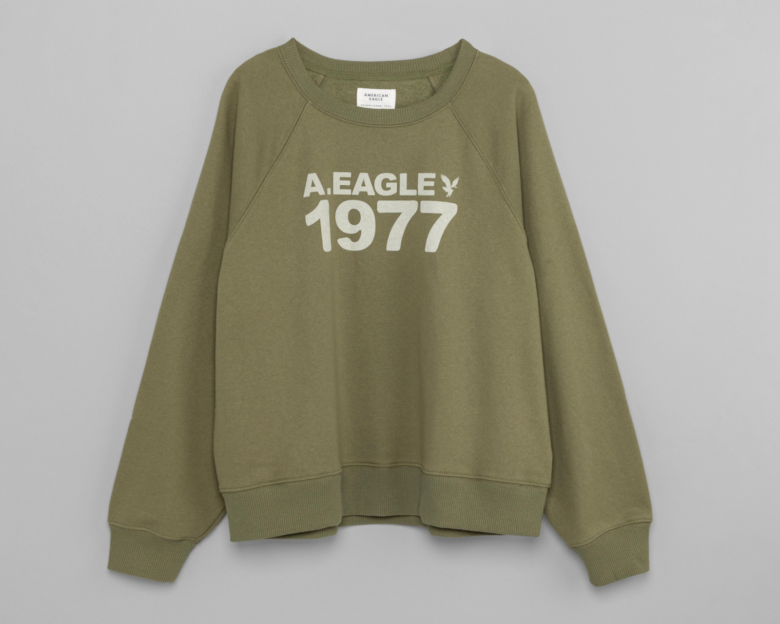 Foto 1 | Sudadera American Eagle Verde Estampada