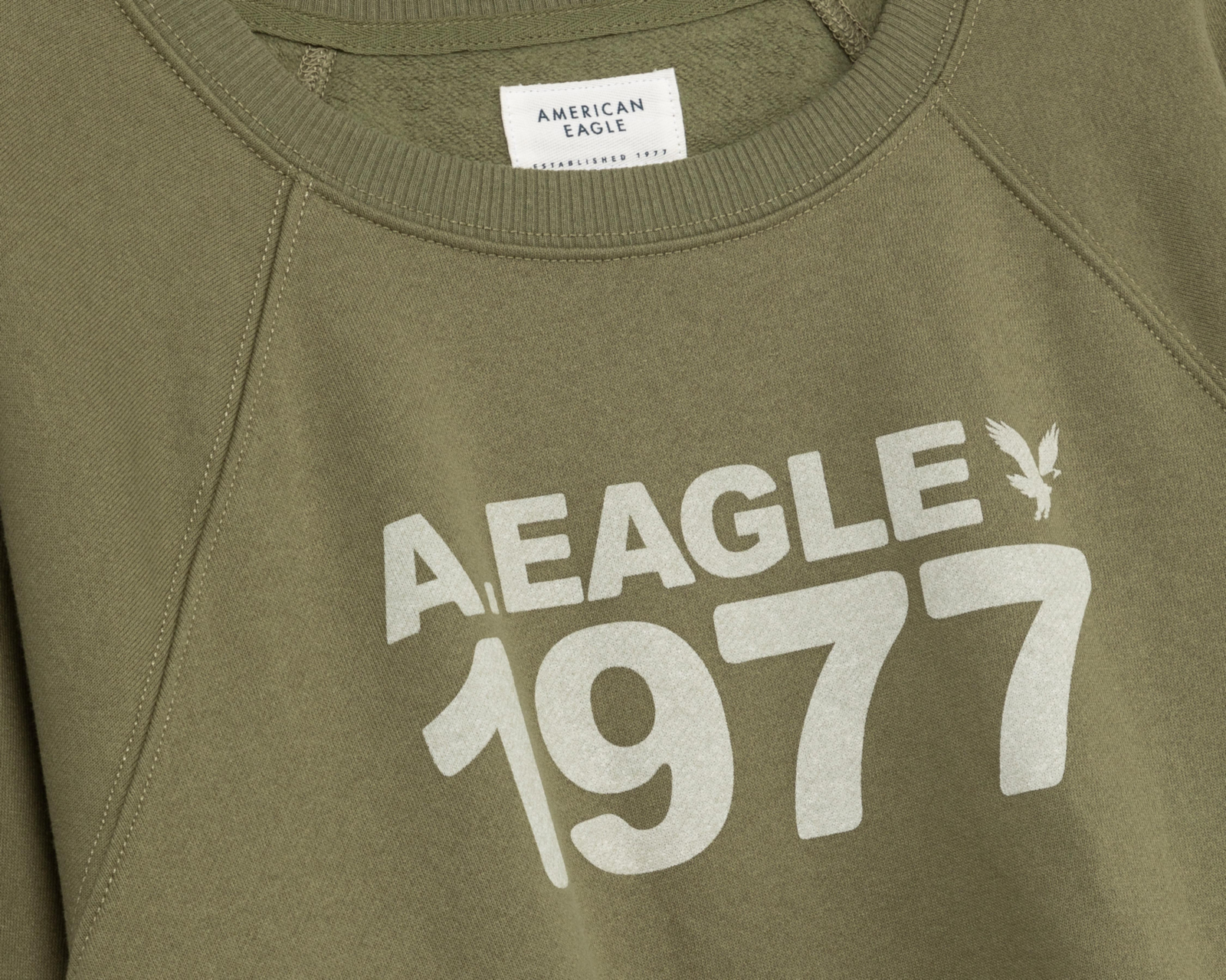 Foto 4 pulgar | Sudadera American Eagle Verde Estampada