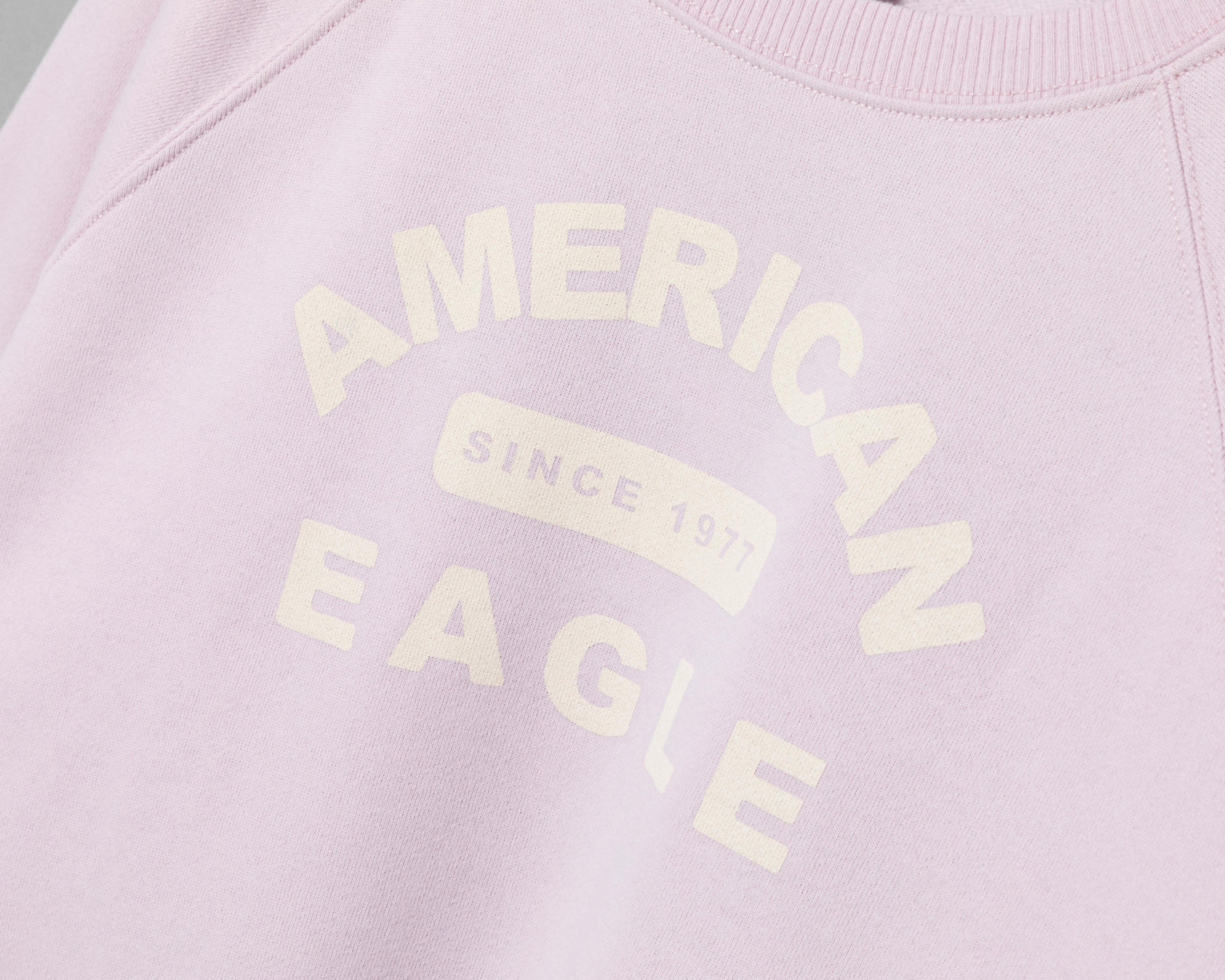 Foto 4 pulgar | Sudadera American Eagle Lila Estampada