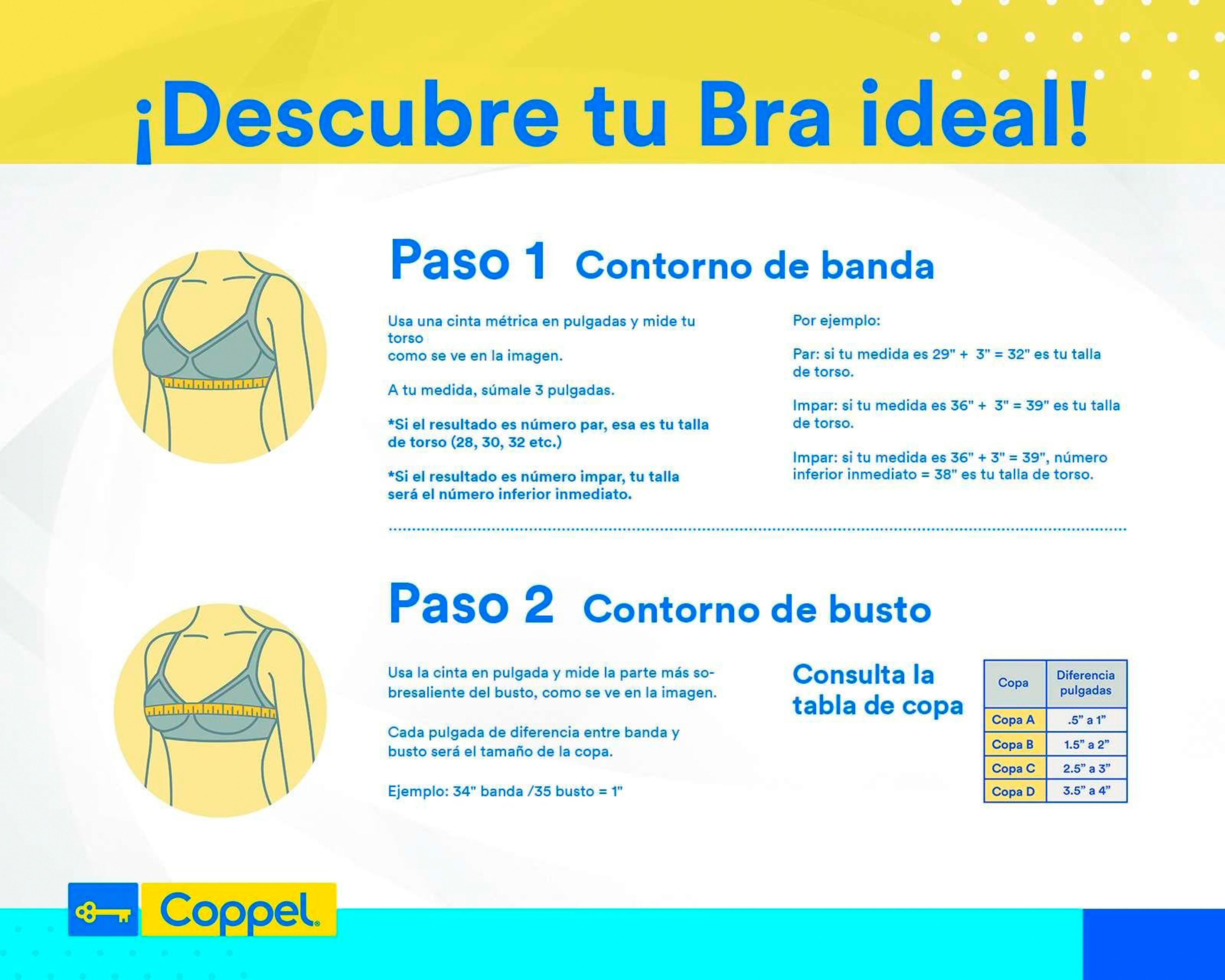 Diferencia entre brasier 32a y online 32b