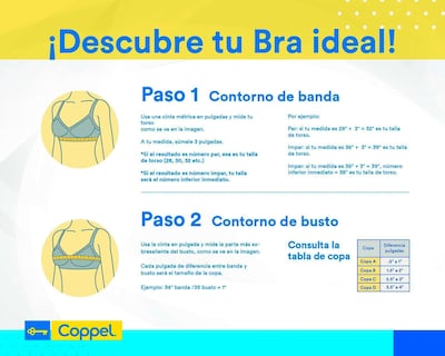 Foto 5 | Brasier con Varilla Carnival Copa Completa 2 Pack