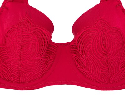 Foto 3 | Brasier Copa Completa con Encaje Curvation