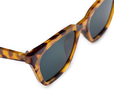 Foto 4 | Lentes de Sol Thinner Cat Eye Café